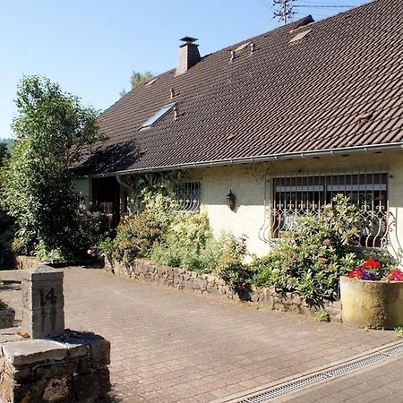 Haus "Zwischen Den Waeldern" Appartement Allenbach Buitenkant foto