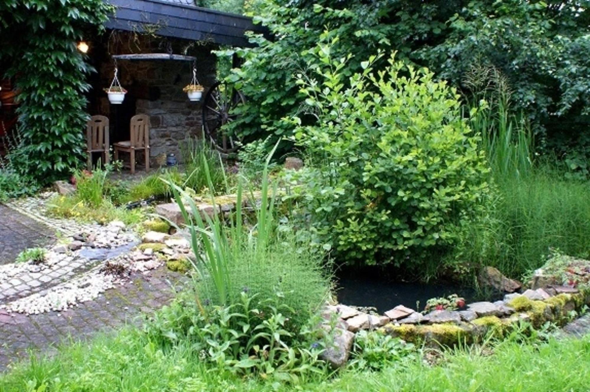 Haus "Zwischen Den Waeldern" Appartement Allenbach Buitenkant foto